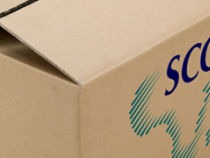 cartons